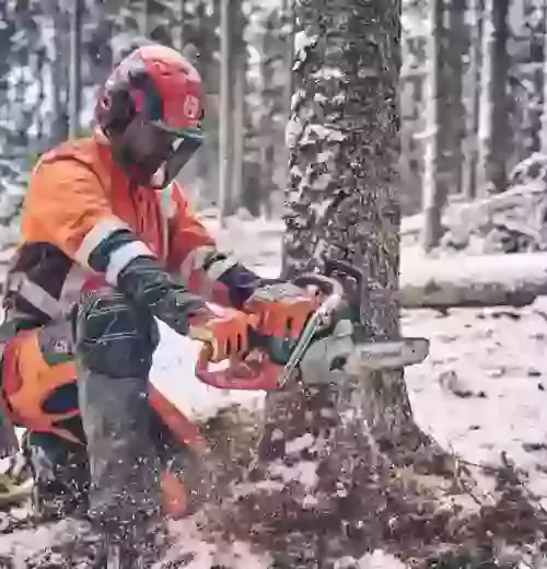 Husqvarna 560 XP® G Mark II Professional chainsaw